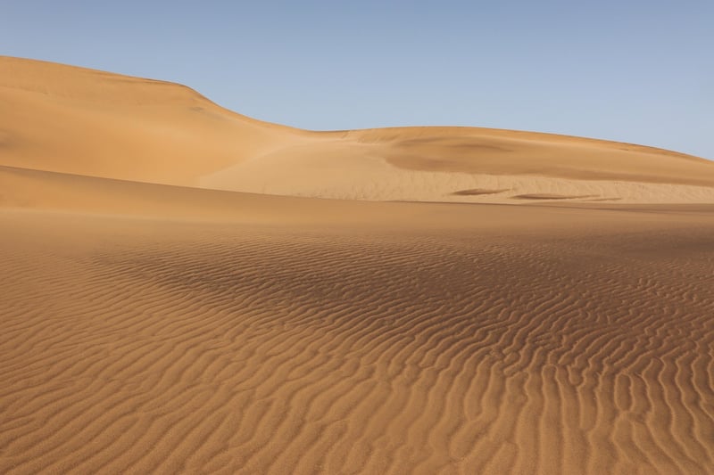 Desert Adventure